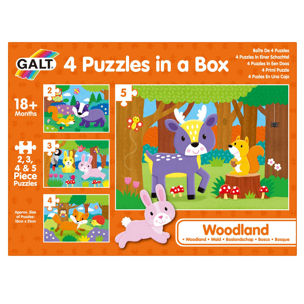 4 Puzzles in a Box - Woodland